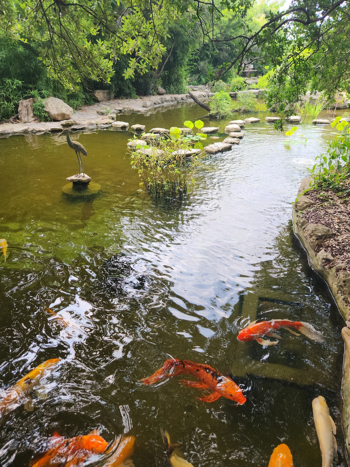 Zilker Botanical Garden, photo 2
