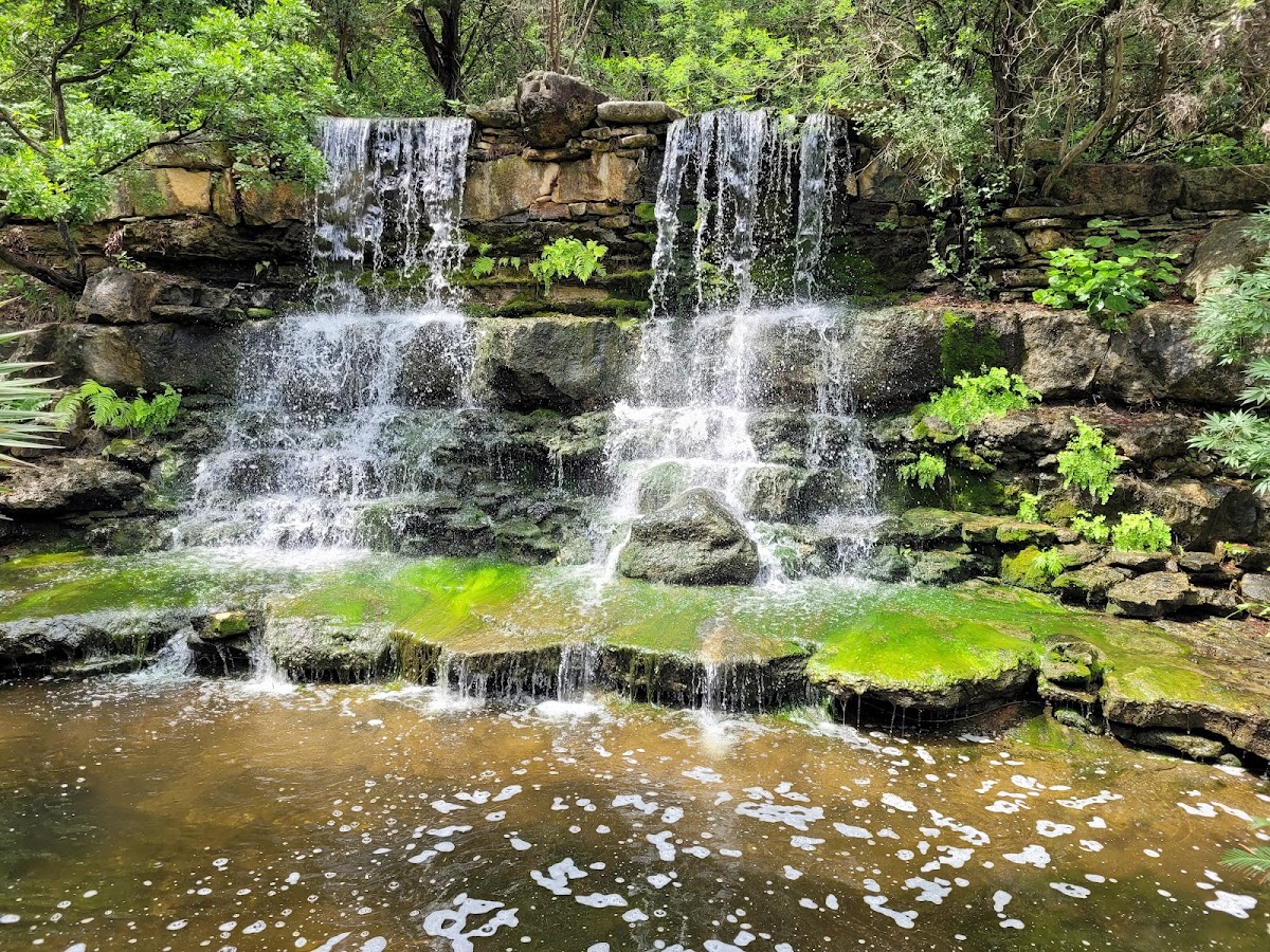 Zilker Botanical Garden, photo 1