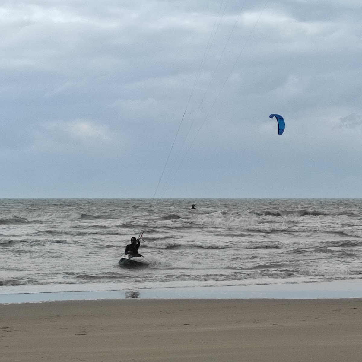 Zoomers Castricum, foto 4